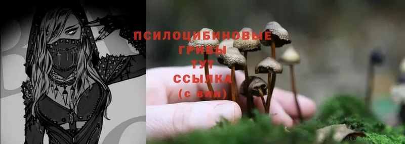 Псилоцибиновые грибы Magic Shrooms  Луховицы 